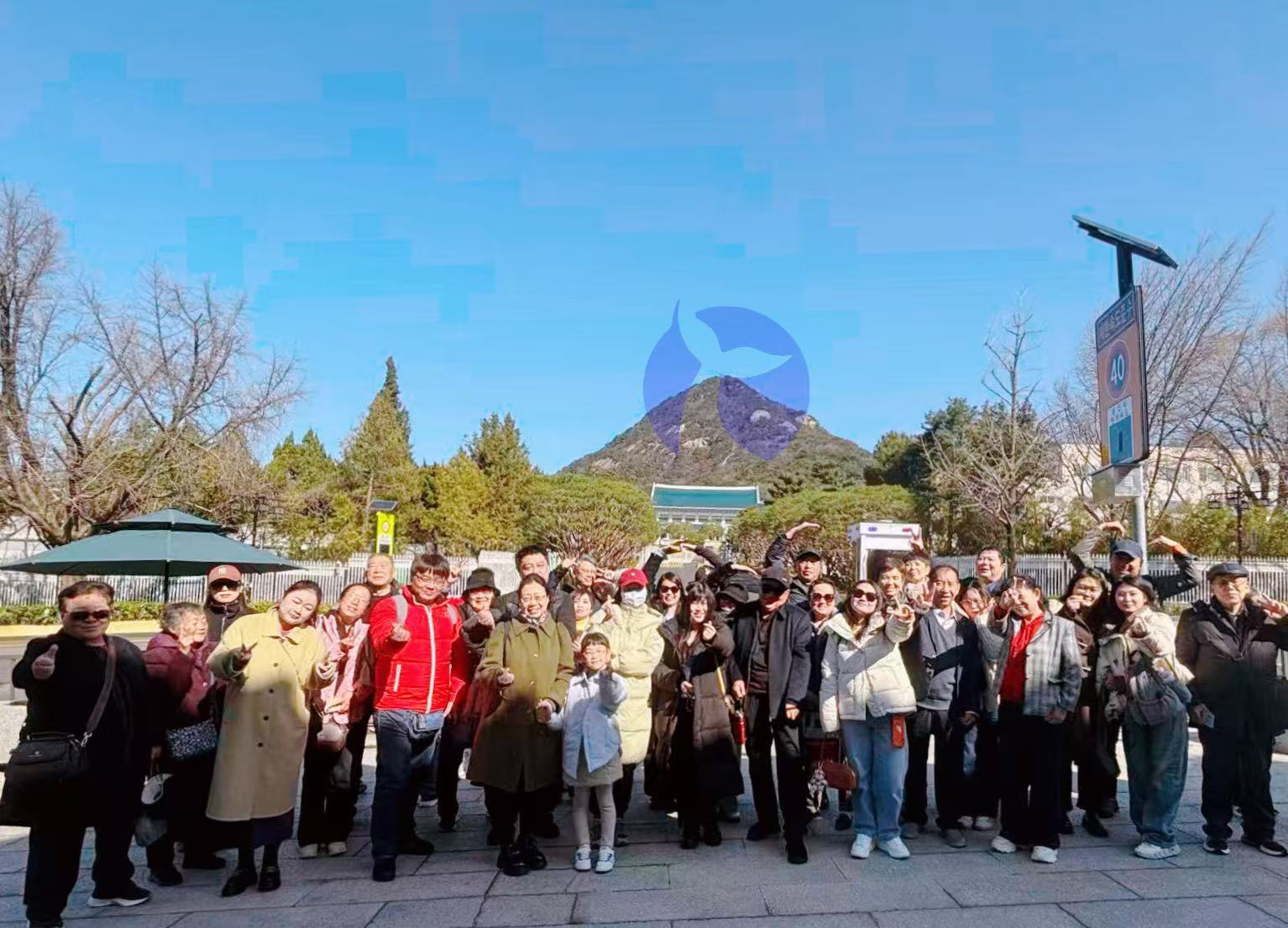 South Korea·When taking a cruise, choose [Ocean Travel Agency · Premium Group Tour] as your top option.