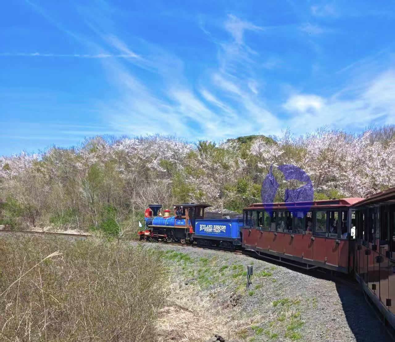 【人生は荒野のごとし】——歩みを止めず、精彩を尽くす